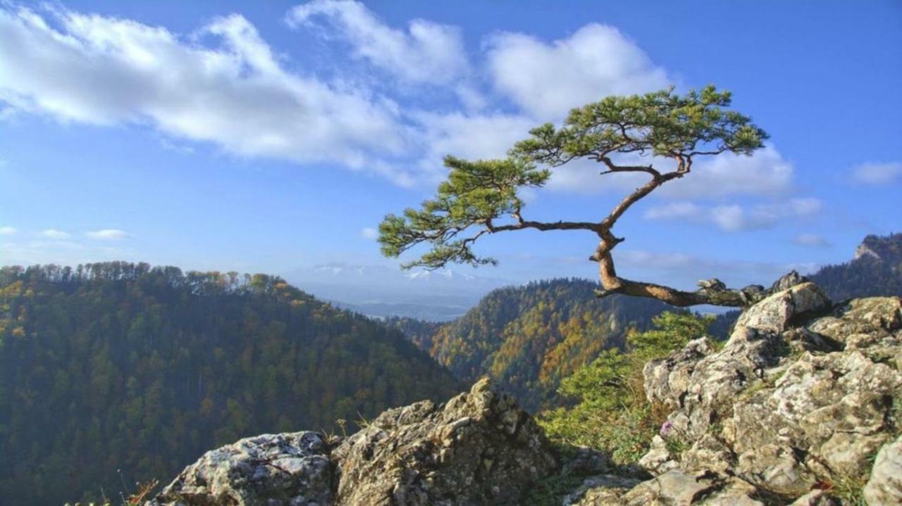扎科帕内威拉伊斯卡旅馆住宿加早餐旅馆 外观 照片